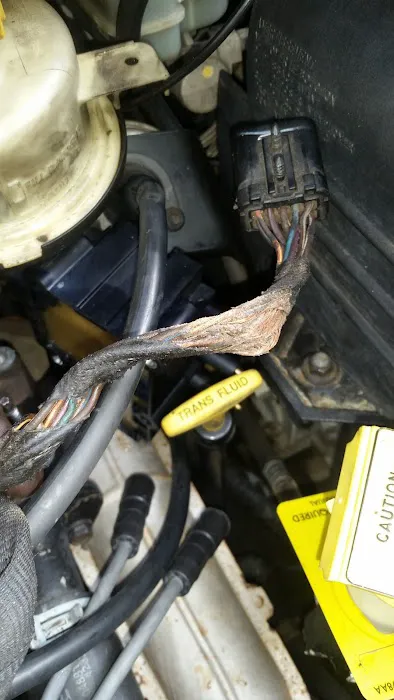 Diana Auto Repair 0