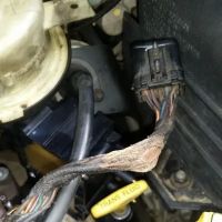 Diana Auto Repair