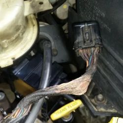 Diana Auto Repair ico