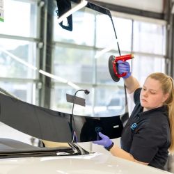 Auto Glass Now ico