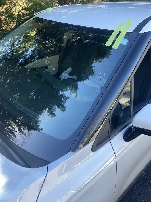 Precise AutoGlass 2