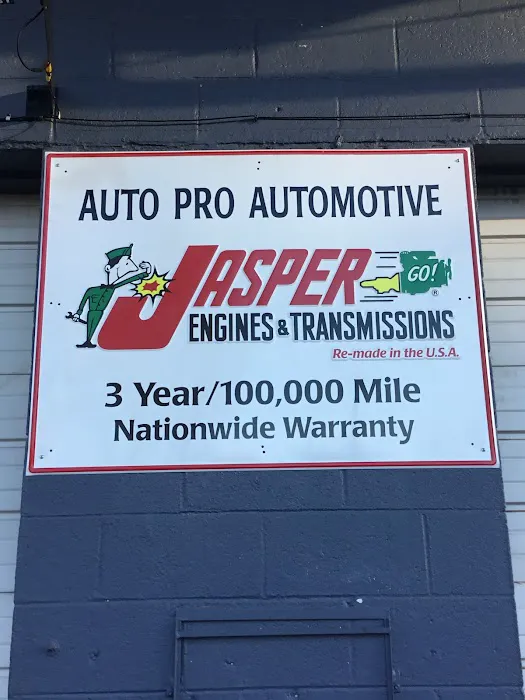 Auto Pro Automotive 0