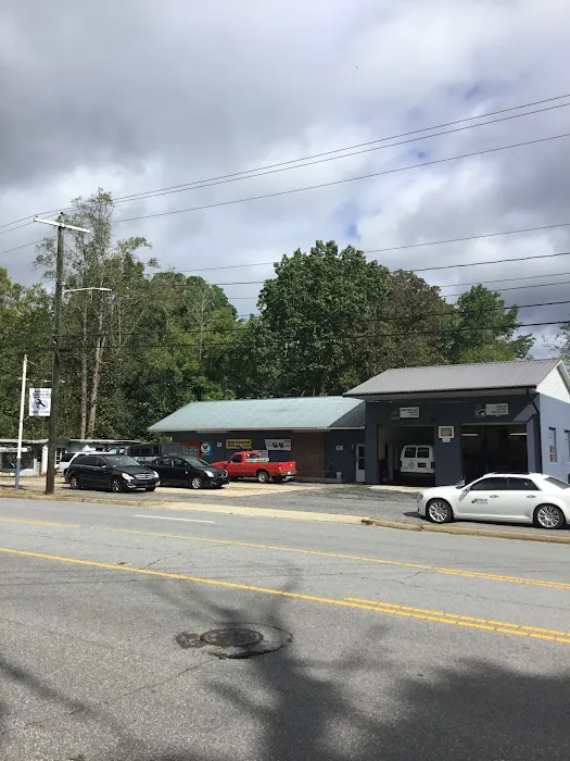 Auto Pro Automotive 1