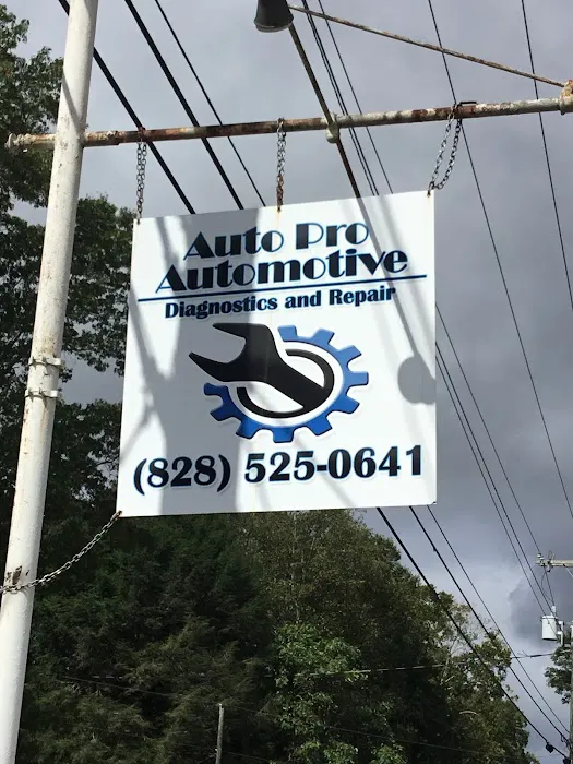 Auto Pro Automotive 4