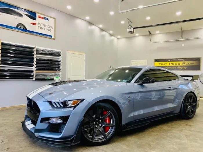 Tint Pros Plus 1