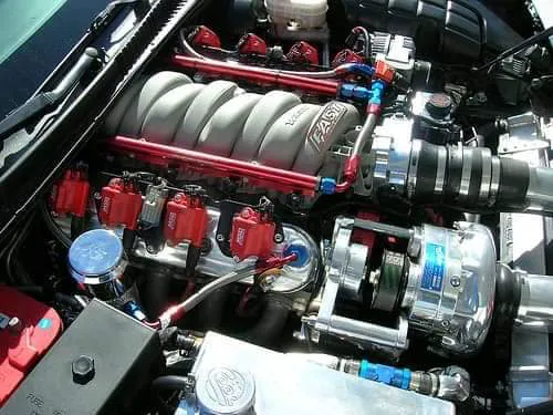 Absolute Customs 3