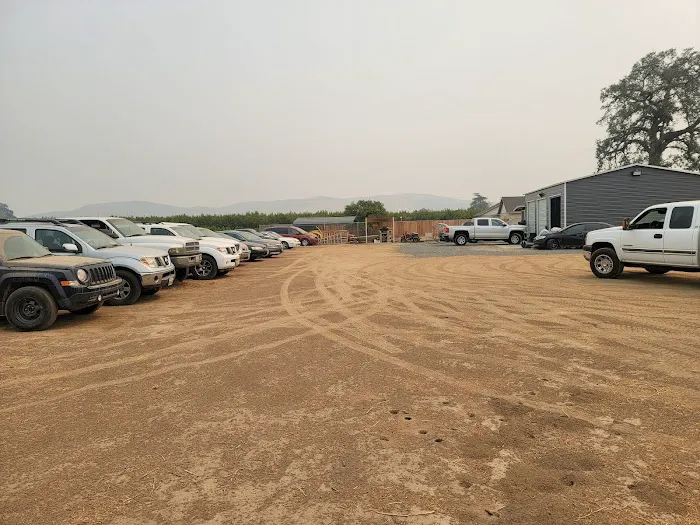 Import nation motorsports INC 3