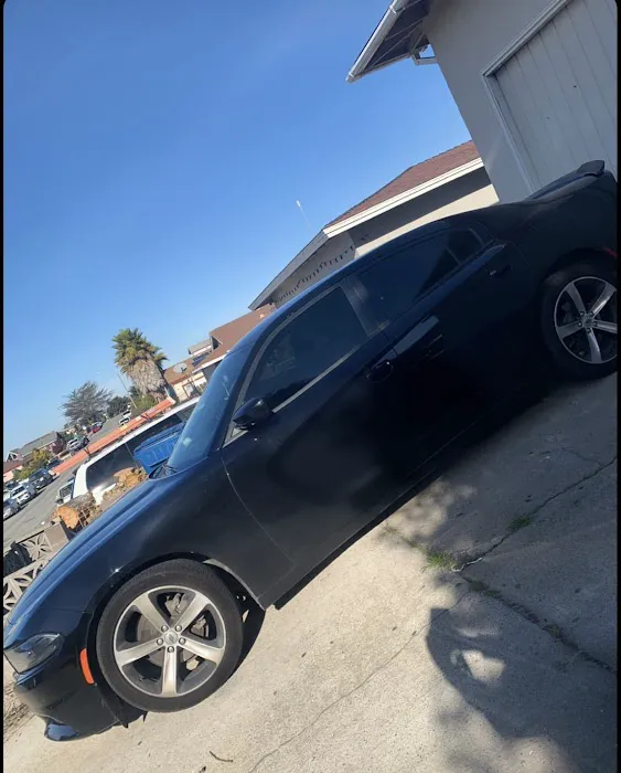 The Tint Laboratory LLC 7