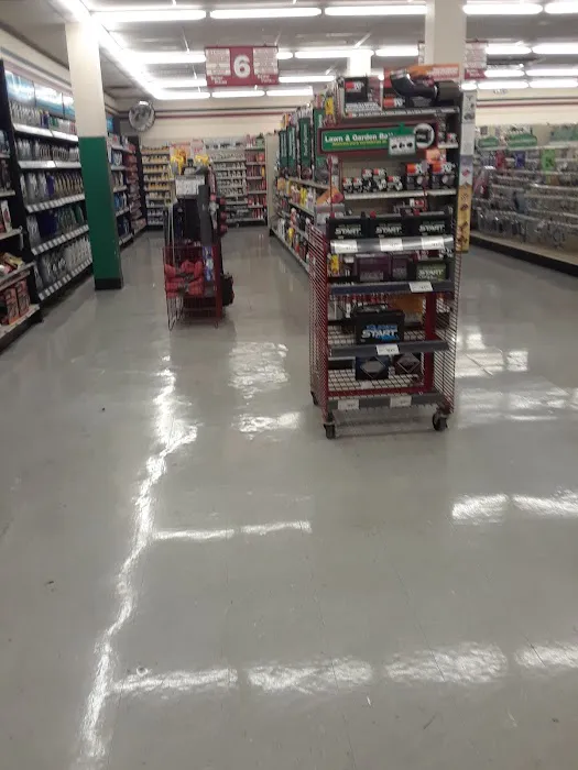 O'Reilly Auto Parts 6