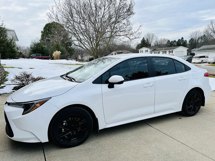 Tint Solutions 2