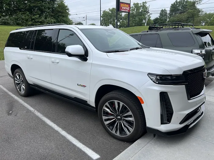 Tint Solutions 1