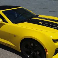 Pro-Tint & Graphics