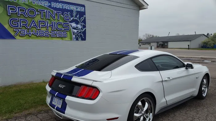 Pro-Tint & Graphics 1