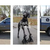 Fetch A Wrench