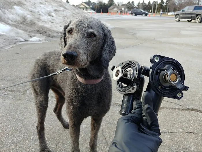 Fetch A Wrench 2