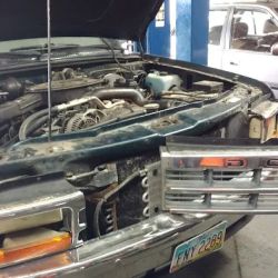 Five Point Automotive Inc ico