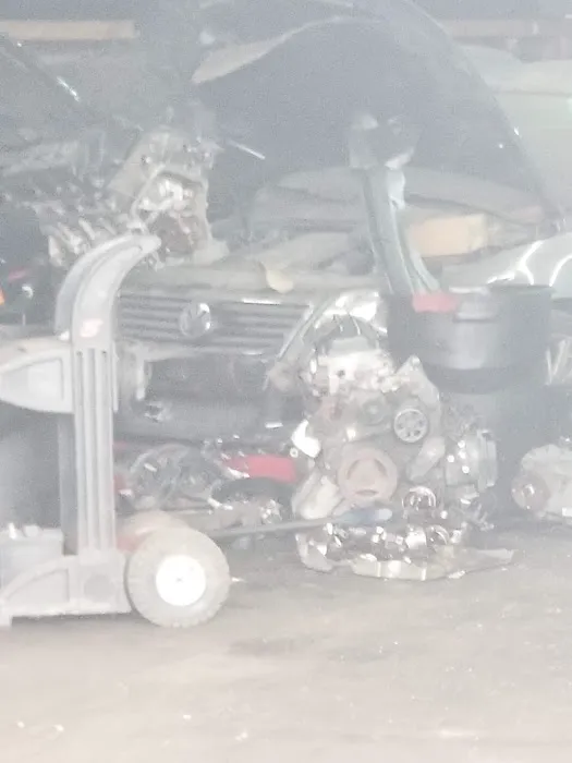 Monroe Auto 3