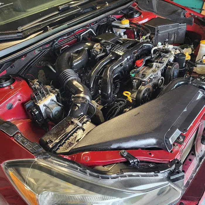 Backwoodz Auto & Jrz. Electrical Car Care 6