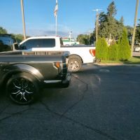 Backwoodz Auto & Jrz. Electrical Car Care