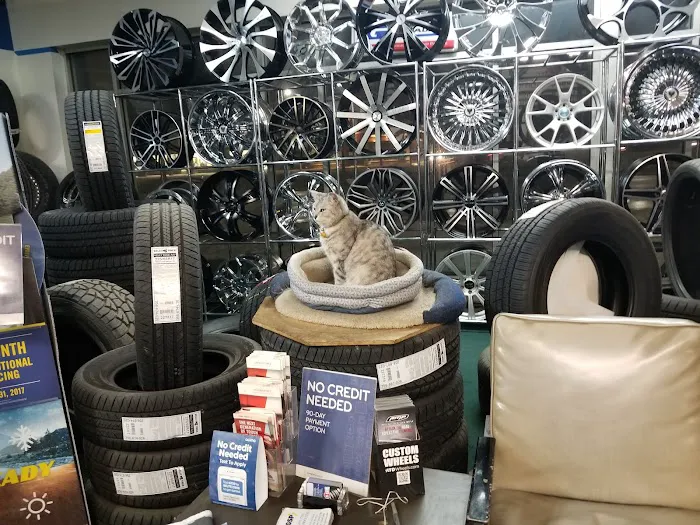 Tire Stop 2