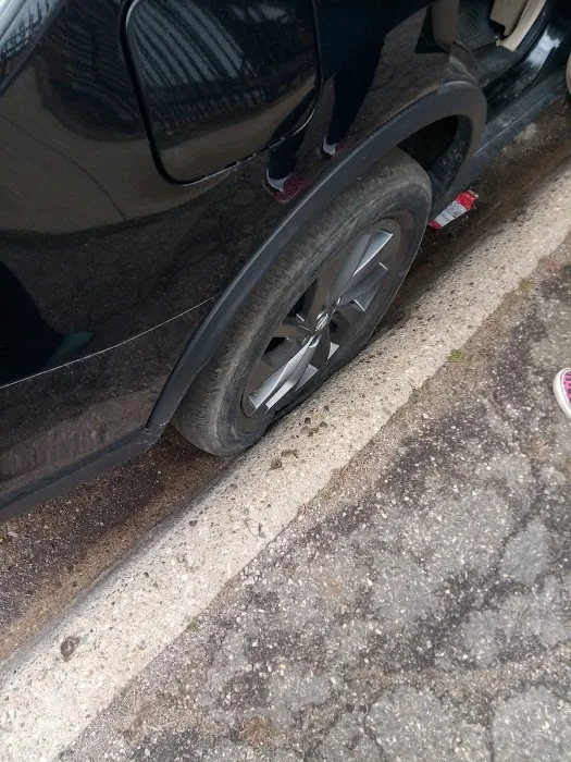 Alpha Automotive 4
