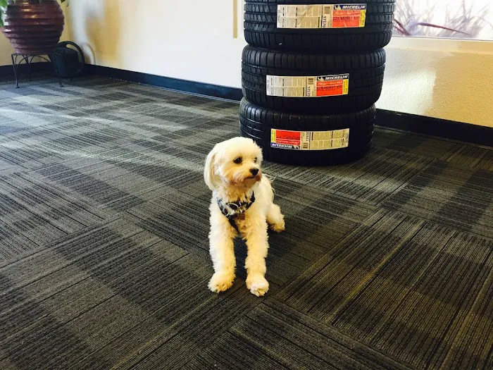 Holland Car Care - San Carlos, CA 4