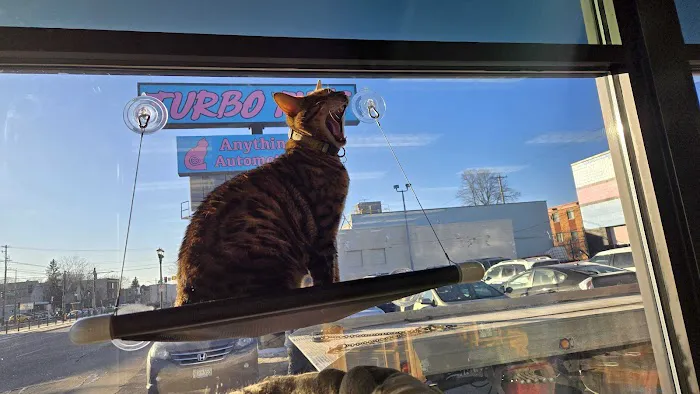 Turbo Tim's Anything Automotive 1