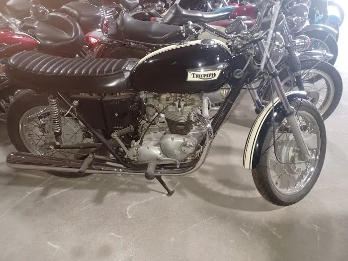 Blue Cat Motorcycle 8