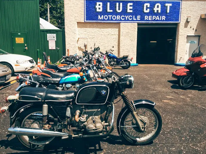 Blue Cat Motorcycle 2