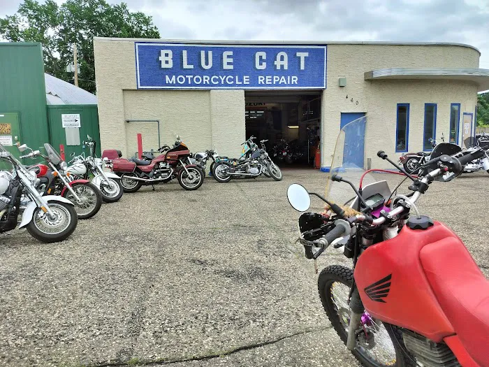 Blue Cat Motorcycle 1