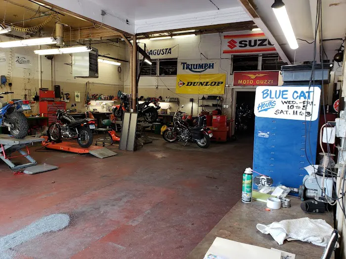 Blue Cat Motorcycle 9