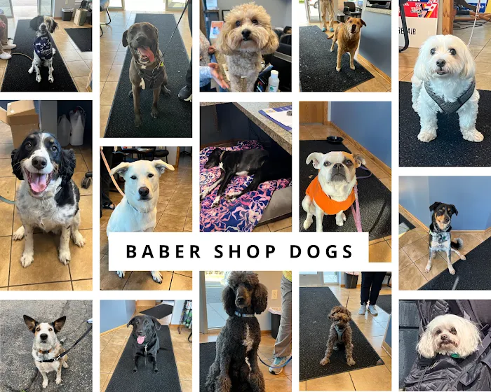 Baber Auto Repair 9