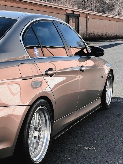 Designer Tinting 1