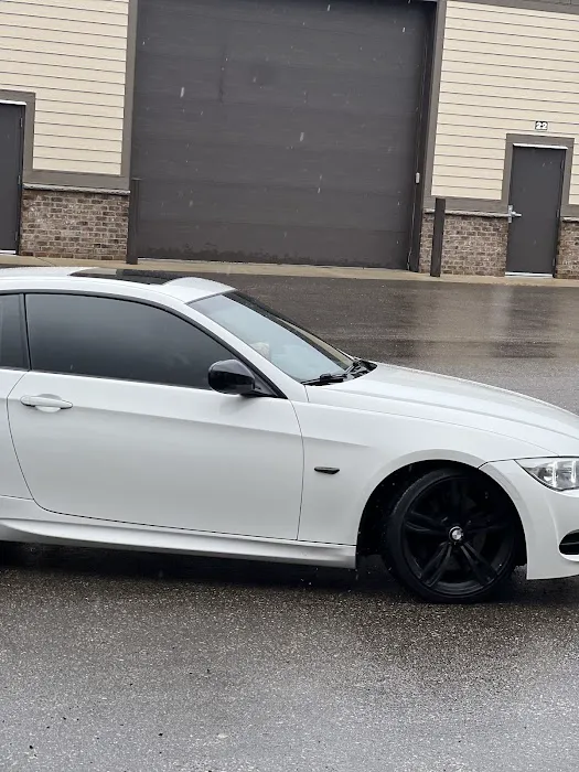 Designer Tinting 4