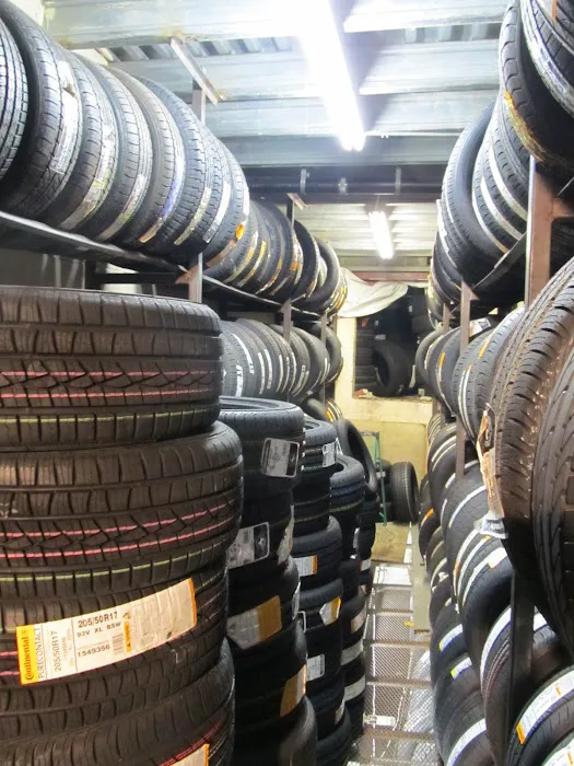 Hilna Tires 9