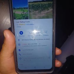 Best Yet Auto Tops & Upholstery ico