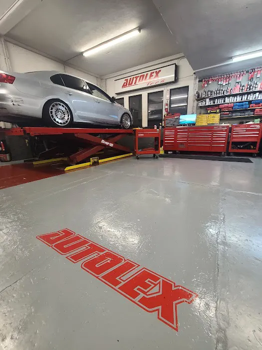 Autolex 5