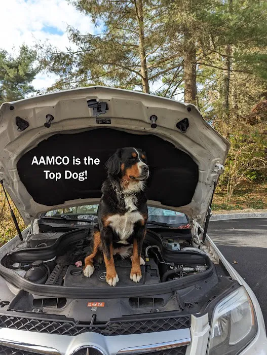 AAMCO Transmissions & Total Car Care 3