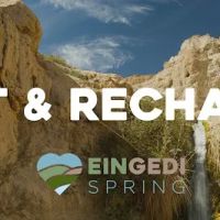 Ein Gedi Spring Auto Care