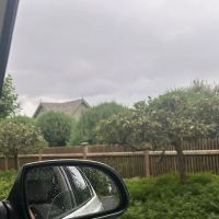 Pine Tree Garage