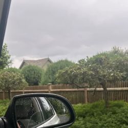 Pine Tree Garage ico