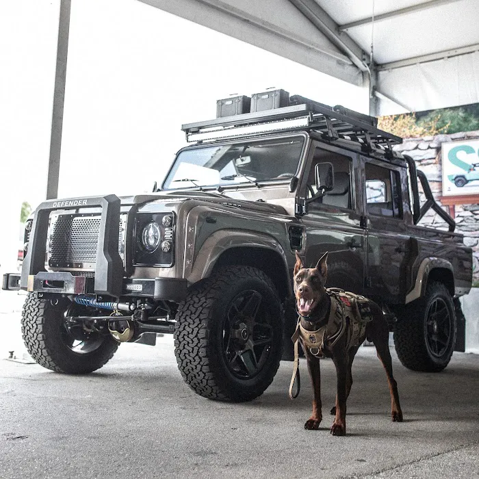 Rover Trophy 9