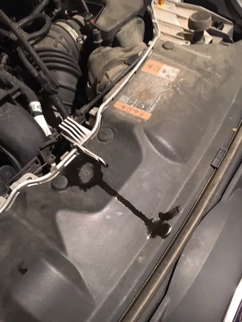 Eagle Express Lube powered by Little Wolf Automotive 0