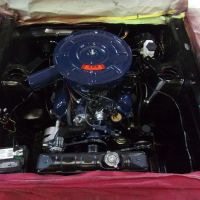 Mustang Restorations Inc