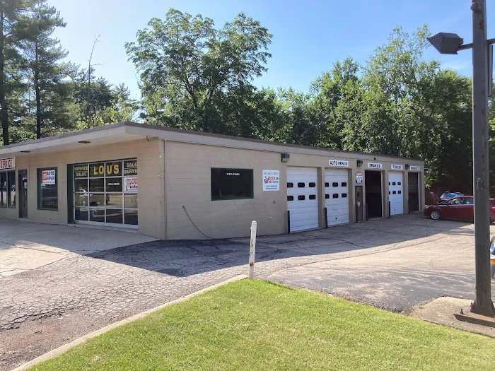 Lou's Sales & Service, Inc. 6