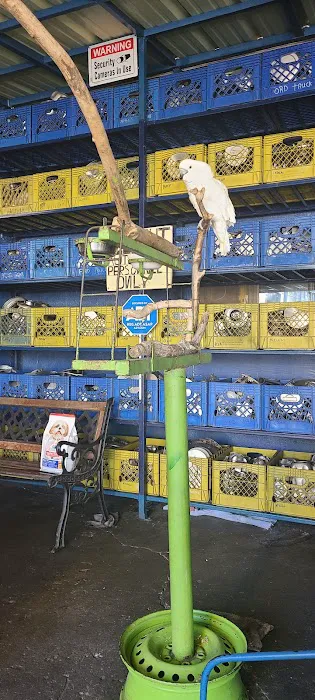Normandie Tire Shop 0