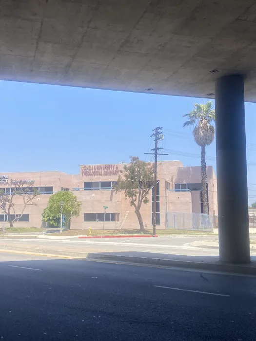 Nelsons Auto Repair 4