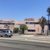 Nelsons Auto Repair