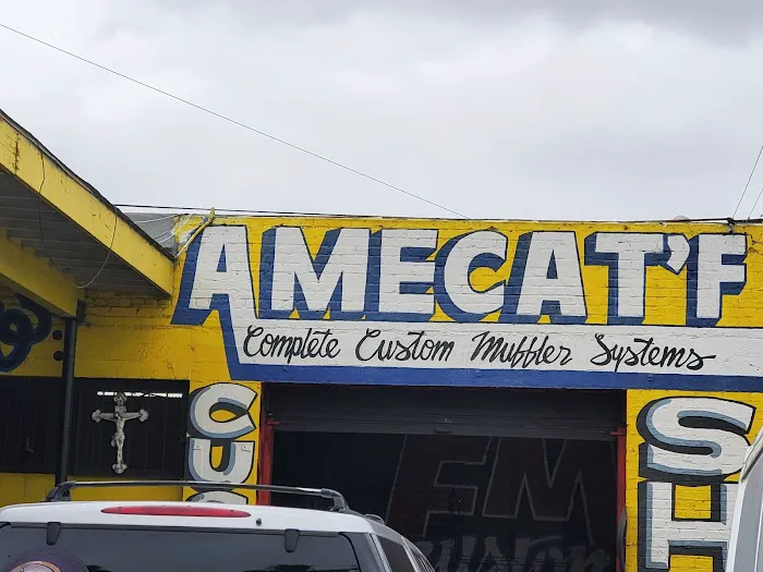 Amecat'f 1