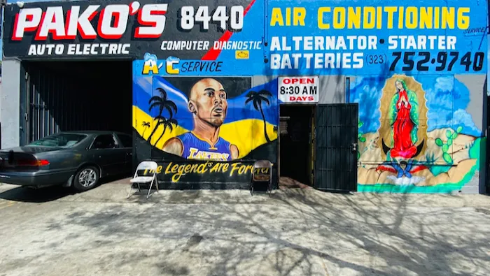 Pako's Auto Electric 1